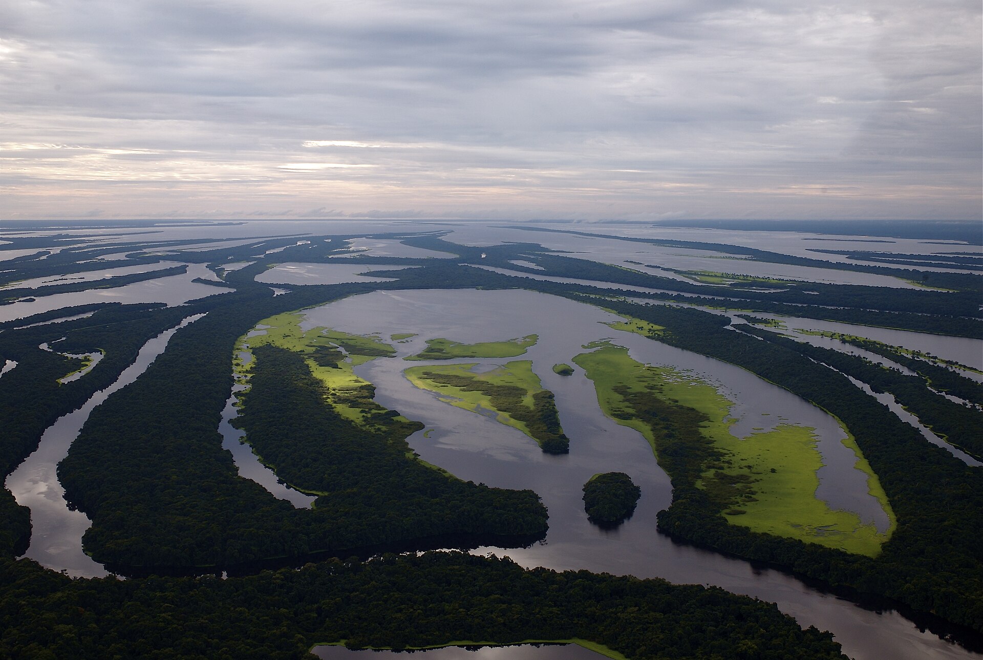 Canal e floresta inundável no Parque Nacional de Anavilhanas.